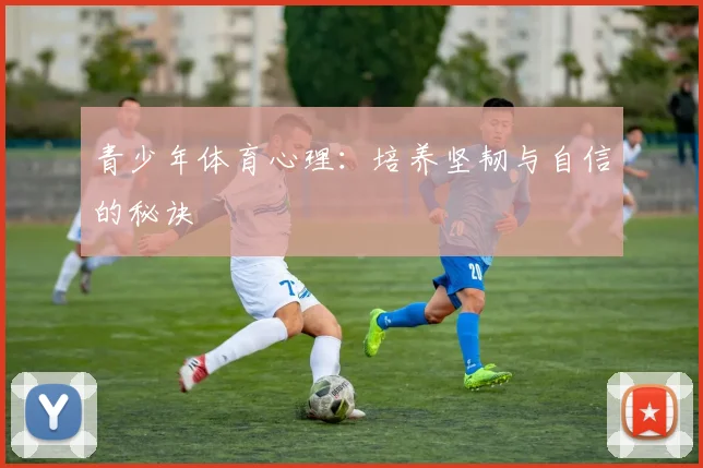 青少年体育心理：培养坚韧与自信的秘诀