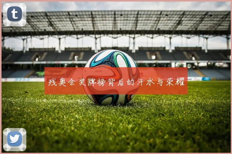 残奥会奖牌榜背后的汗水与荣耀